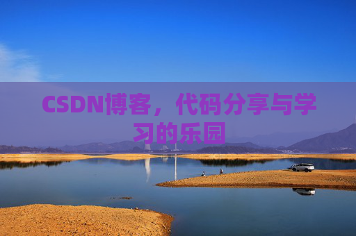 CSDN博客，代码分享与学习的乐园